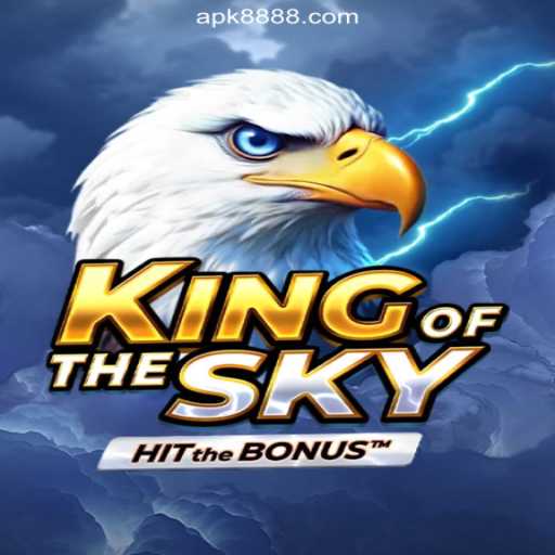 Dominating the Skies: An In-Depth Look at KingOfTheSky